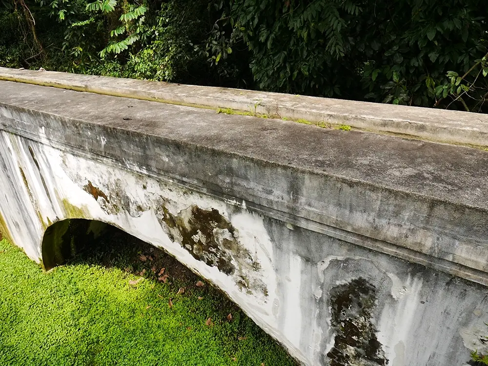 Levada Aqueduct